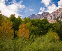 Convict Lake Fall Colors 9-9 _ Samantha Lindberg Photography-4