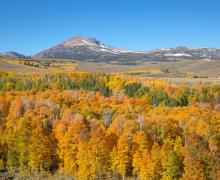 Conway Summit Fall Colors