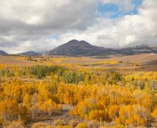 Conway Summit Fall Colors