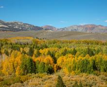 Conway Summit Fall Colors