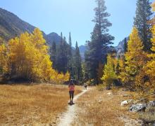 Horse Creek Trail from Twin Lakes, Bridgeport on October 10, 2016 Fall Colors