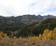 10.10.24 Sonora Pass by Amanda Carlson with Mono County Tourism