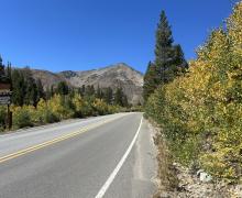 Virginia Lakes Road 9.5.24