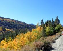 Rock Creek Road Fall Colors