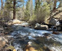 4.29.26 Robinson Creek