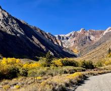 McGee Creek canyon with dirt road, mountain, and aspen trees turning yellow and orange