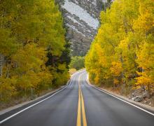 June Lake Loop Fall Colors