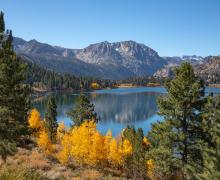 June Lake Loop