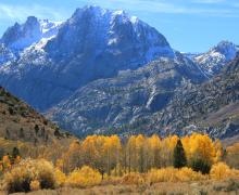 Carson Peak Fall Colors