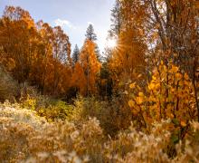 10.28.24 Lee Vining Canyon by Samantha Lindberg with Mammoth Lakes Tourism