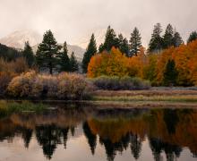 10.28.24 Lee Vining Canyon by Samantha Lindberg with Mammoth Lakes Tourism