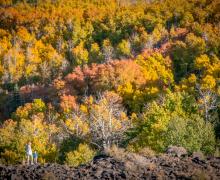 Lobdell Lake Road Fall Colors