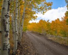 Lobdell Lake Road