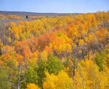 Lobdell Lake Road