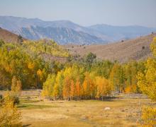 Lobdell Lake Road