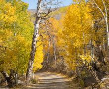 Lobdell Lake Road