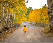 Lobdell Lake Road James