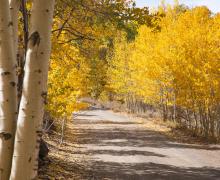 Lobdell Lake Road