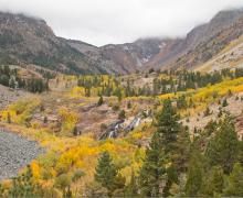 Lundy Canyon Fall Colors