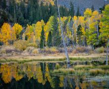 Lundy Canyon