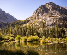 Lundy Canyon Fall Colors (9-16-24) _ Photo Credit Samantha Lindberg -- Mammoth Lakes Tourism