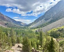 Lundy Canyon looking east - Sep 17 2024 - Mono County Tourism