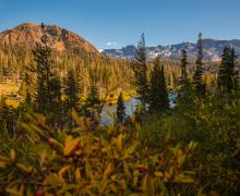 Mammoth Lakes Basin - Photo Credit Samantha Lindberg