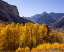 10.14.24 McGee Canyon by Samantha Lindberg with Mammoth Lakes Tourism-10