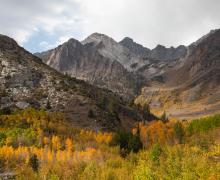 10.8.24McGee Creek by Jeff Simpson with Mammoth Lakes Tourism
