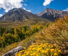 McGee Fall Colors 9-11 _ Samantha Lindberg Photography-4