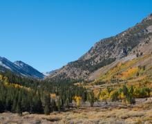 Molybdenite Canyon Trail Fall Colors