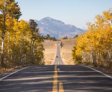 Monitor Pass Fall Colors