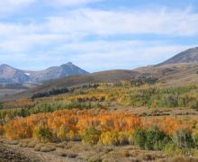 Colorful fall foliage on the hills of Conway Summit