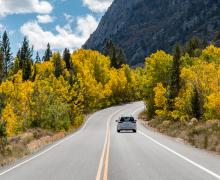 Rock Creek Road Fall Colors with Car