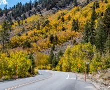 Rock Creek Road Fall Colors