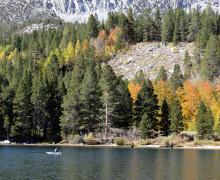 Rock Creek Lake Fall Colors