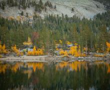9.30.24 Rock Creek by Jeff Simpson with Mammoth Lakes Tourism