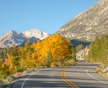 9.30.24 Rock Creek by Jeff Simpson with Mammoth Lakes Tourism