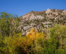 Rock Creek Fall Colors 9-11 _ Samantha Lindberg Photography-8