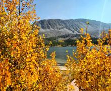 Rock Creek Lake fall colors