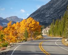 10.7.24 Rock Creek Road by Jeff Simpson with Mammoth Lakes Tourism