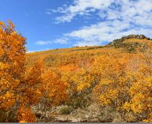 Sage Hen Summit 2 Fall Colors