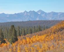9.30.24 Sagehen Summit by Jeff Simpson with Mammoth Lakes Tourism