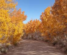 9.30.24 Sagehen Summit by Jeff Simpson with Mammoth Lakes Tourism