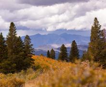9.16.24 Sagehen Summit - Samantha Lindberg - Mammoth Lakes Tourism
