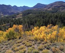9.28.24 Sonora Pass by Berlin DelAguila with Mammoth Lakes Tourism