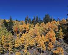 9.28.24 Sonora Pass by Berlin DelAguila with Mammoth Lakes Tourism