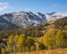 Sonora Pass with green Fall Colors