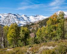 Sonora Pass Fall Colors 2017