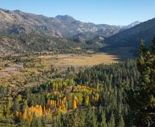 Sonora Pass Fall Colors